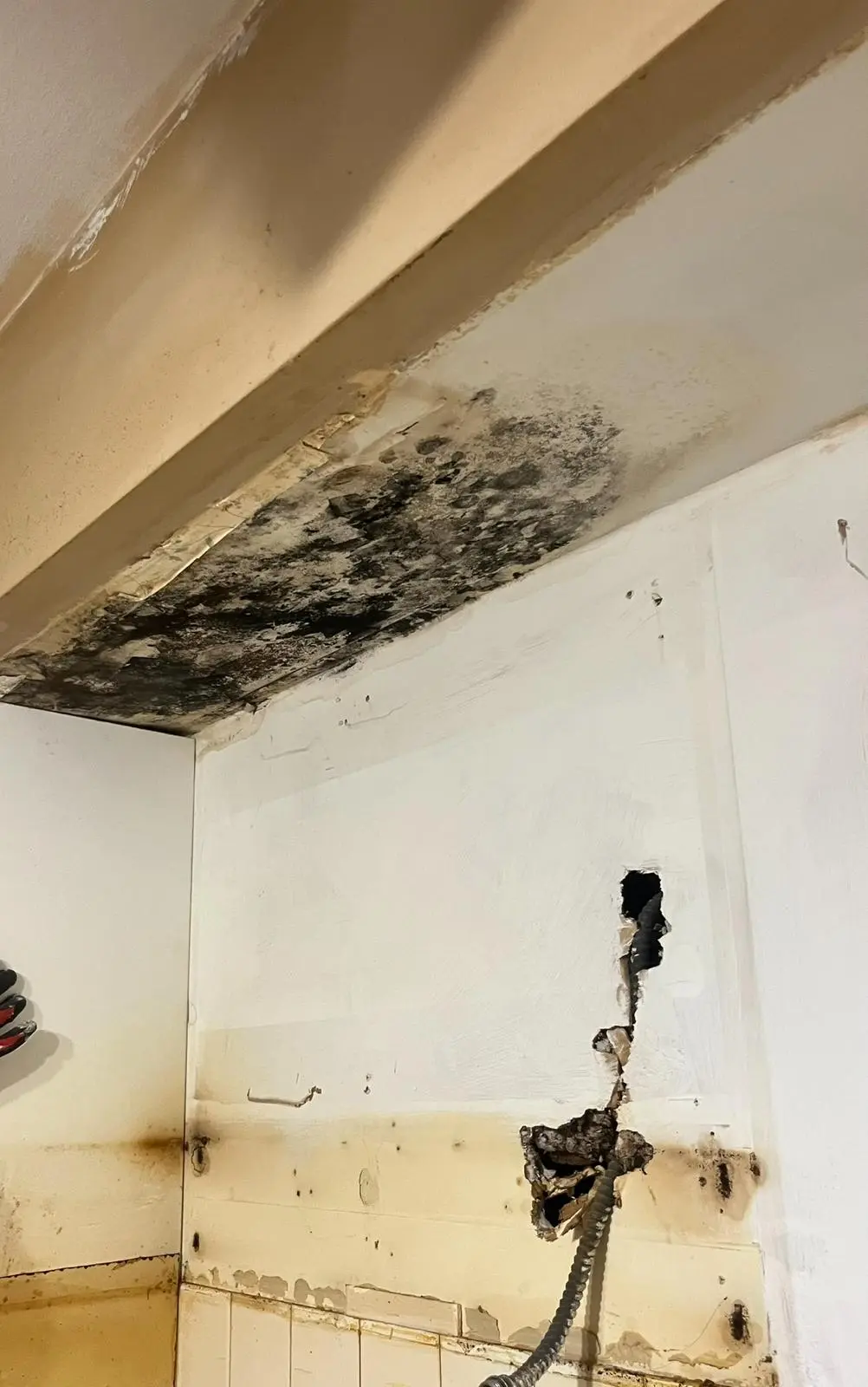 waterproofing-project-04