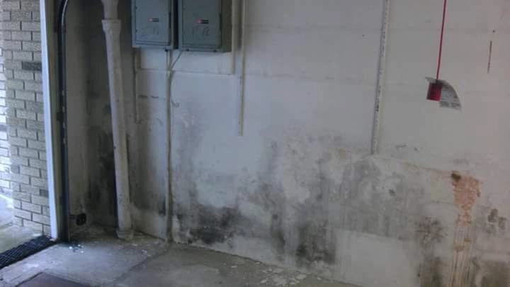 waterproofing-project-05